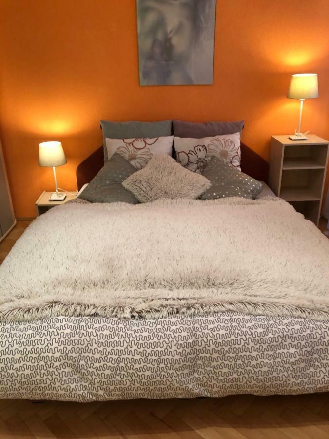 קרלובי וארי Apartman Orchidej U Vridla מראה חיצוני תמונה